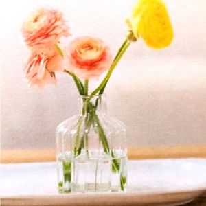 Jilly Box x Be Home shave glass bud vase